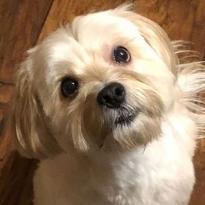 Meet your Posher, Greg